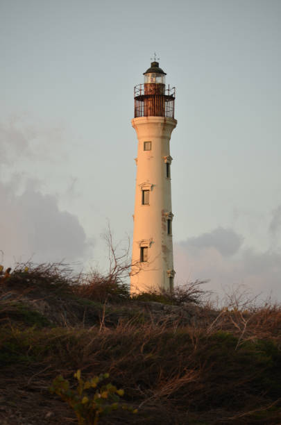istock Towering California Lighthouse in Aruba 1145674577