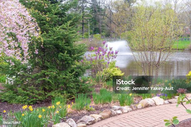 Spring Plants In Bloom Near A Fountain Stock Photo - Download Image Now - Springtime, Landscape - Scenery, West Hartford