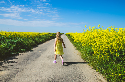 little girl walking alone among yellow rapeseed fields in empty rural path
