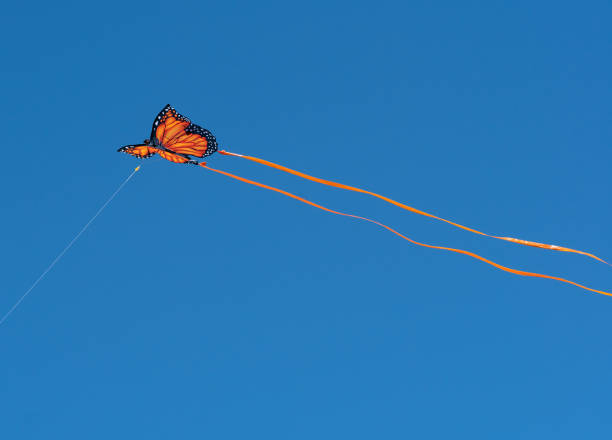 istock Beautiful kite, monarch butterfly pattern, high flying against blue sky. 1145678399