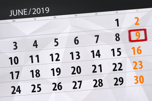 istock Calendar planner for the month june 2019, deadline day, 9, sunday 1145682999
