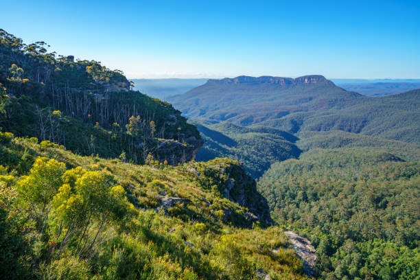 istock cliff view lookout, blue mountains national park, australia 3 1145683097