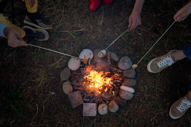 roasting marshmallos - fire pit campfire bonfire fire imagens e fotografias de stock
