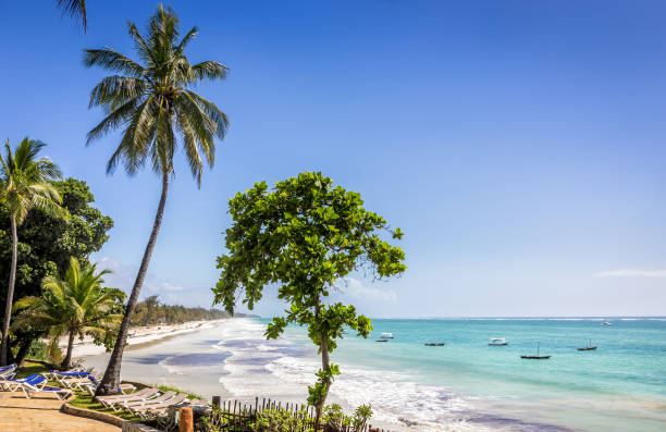 istock Amazing Diani beach seascape, Kenya 1145686194