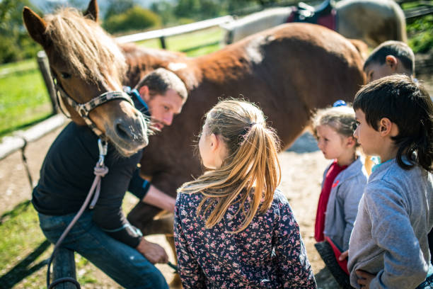 istock Horse groomer with children 1145686238