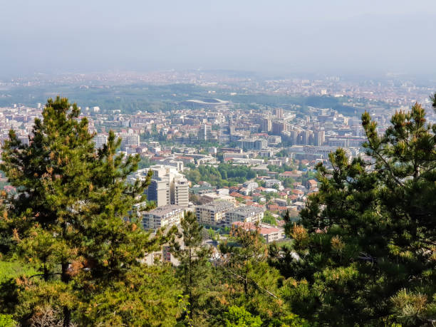 istock City landscape with evergreen trees in foreground on a sunny day 1145687174