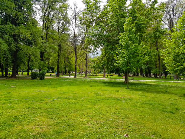 Green grass field in big city park on a cloudy day.