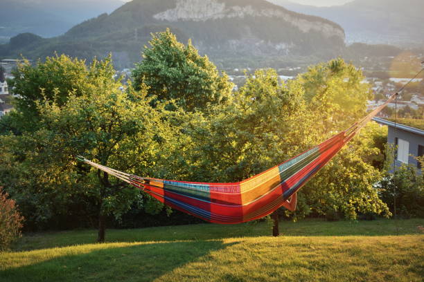 istock Relaxing in a colorful hammock in a lush garden 1145690476