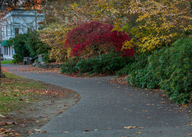istock Path at Lithia park entrance side facing main street 1145691305