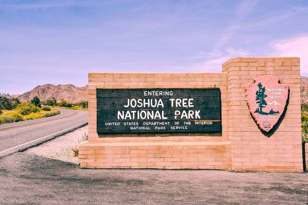 istock Joshua Tree National Park 1145694605