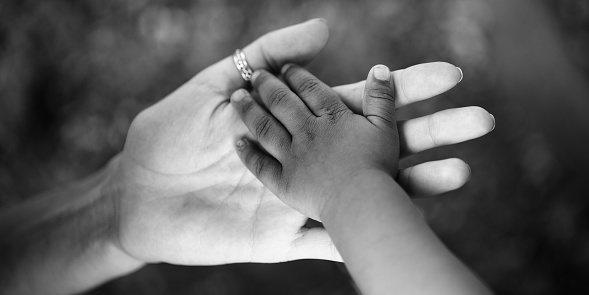 Hand holding newborn baby's hand