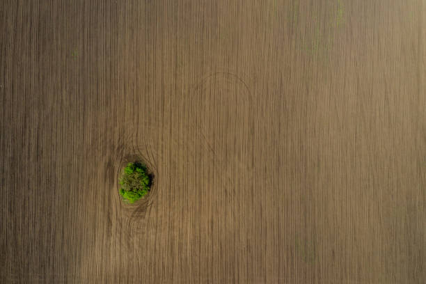 istock agriculture land drone view 1145695462