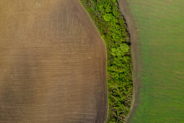 istock agriculture land drone view 1145695479