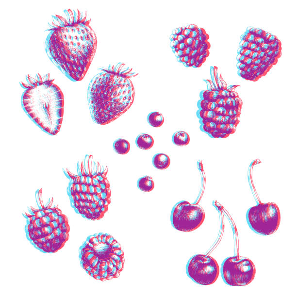 wektor grawerowanie szkic owoców. anaglyph 3d efekt stereo. - strawberry plant audio stock illustrations