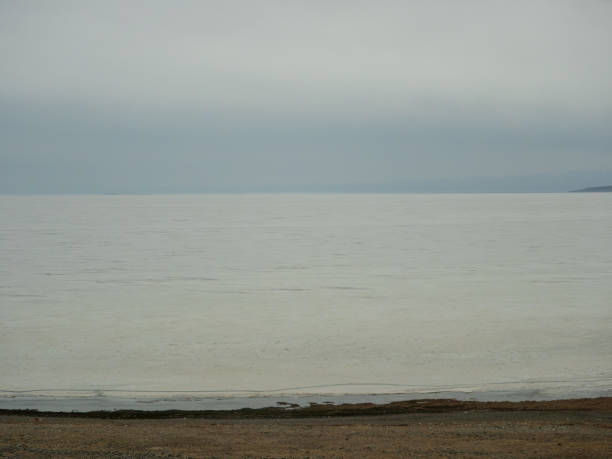 sceneria okna samochodu qinghai-tybetu kolei w tybecie autonomicznego regionu, chiny. - glacier himalayas frozen lake zdjęcia i obrazy z banku zdjęć