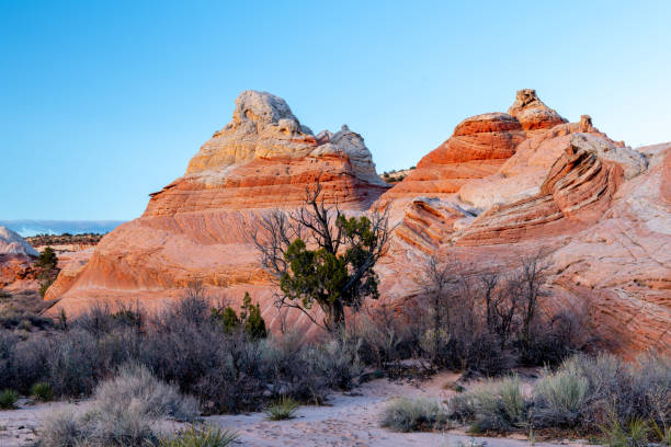 istock Arizona rock formations in the desert with tree and brush 1145696963