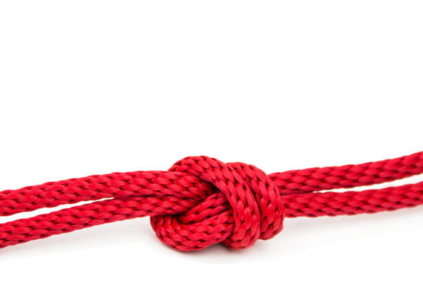 Red knot against white background Red knot against white background with copy space untie-rope stock pictures, royalty-free photos & images