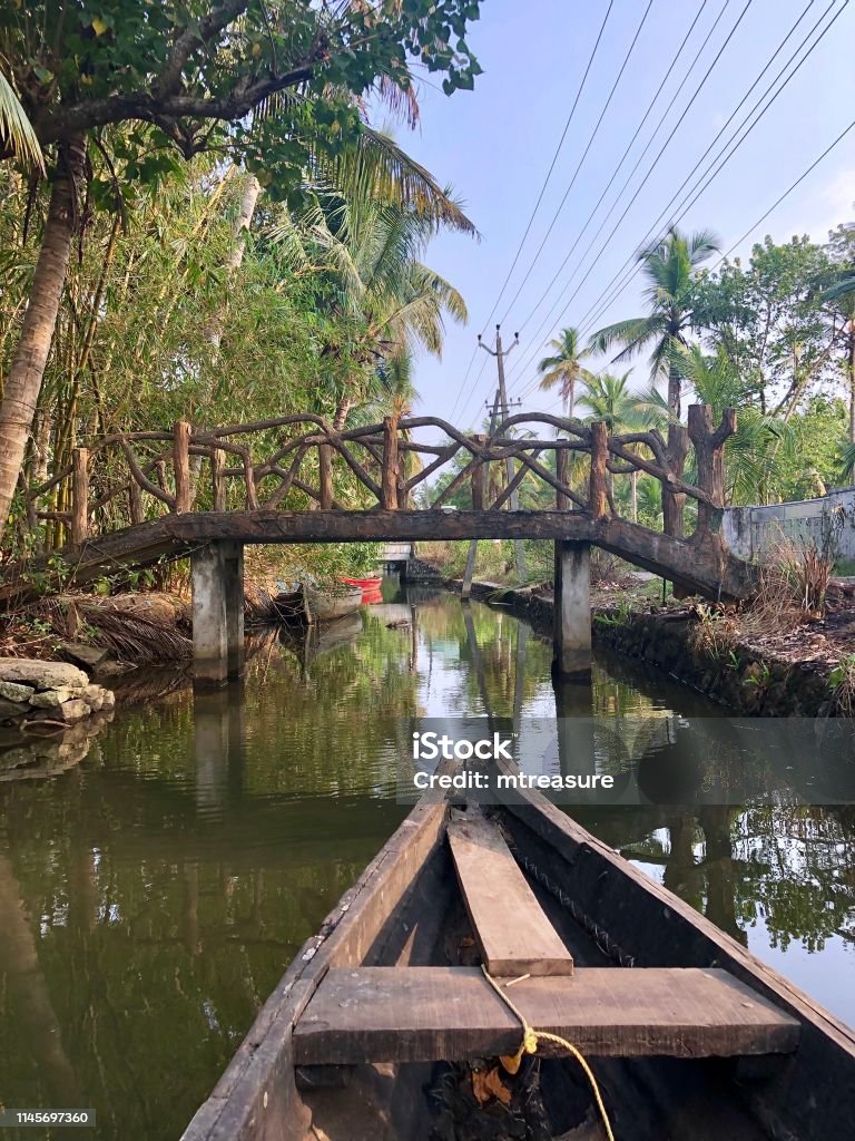 Hình Ảnh Cây Cầu Gỗ Giả Bắc Qua Kênh Kerala Backwaters Ấn Độ Nhìn ...