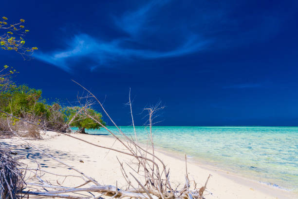 istock Philippines,  tropical sea background 1145698482