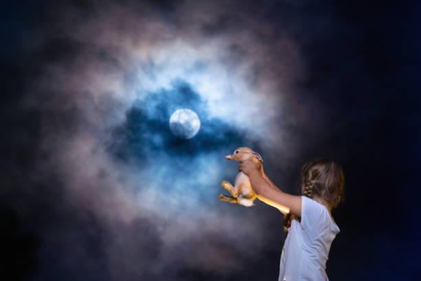 istock Child playing with pet rabbit at full moon 1145698876