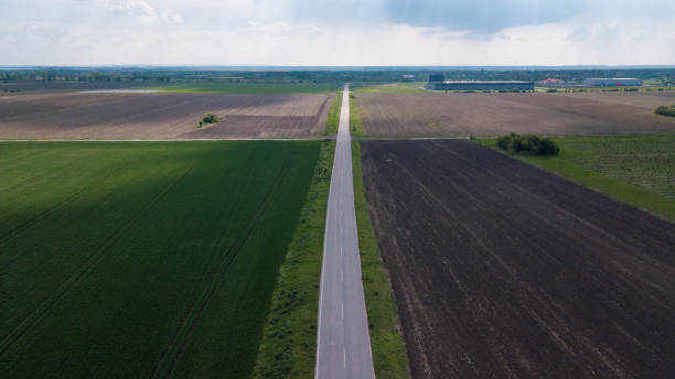 istock Fields of young cereals and barley viewed from the air 1145699890