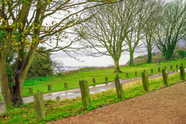 Green trees in park at dover england and walking path
