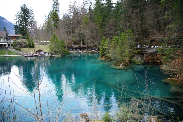 istock Small lake with blue clear water on a sunny day 1145703680
