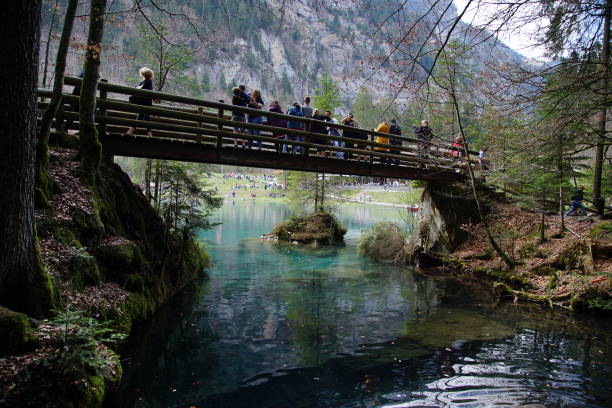 istock Small lake with blue clear water on a sunny day 1145703697