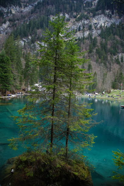 istock Small lake inside the forest on a sunny day 1145703853