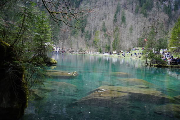 istock Small lake inside the forest on a sunny day 1145703895