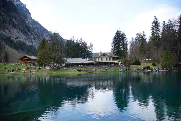 istock Small lake inside the forest on a sunny day 1145703907