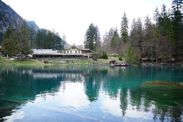 istock Small lake inside the forest on a sunny day 1145703910