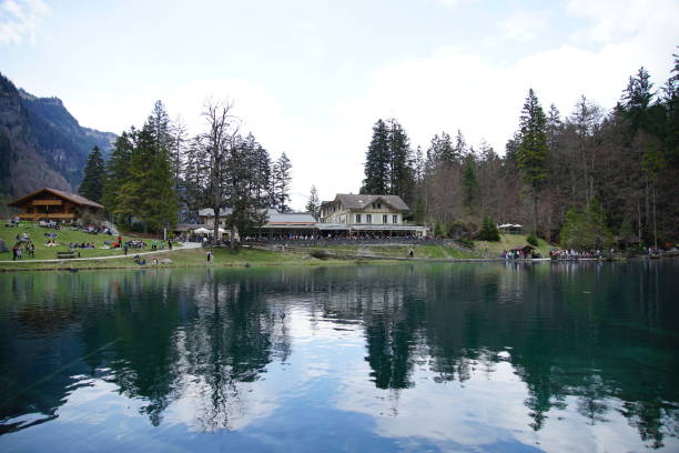 istock Small lake inside the forest on a sunny day 1145703919