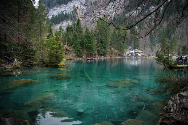 istock Small lake inside the forest on a sunny day 1145703929