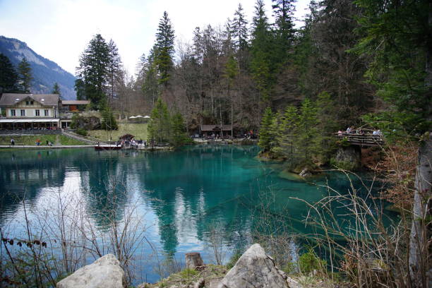 istock Small lake inside the forest on a sunny day 1145703975