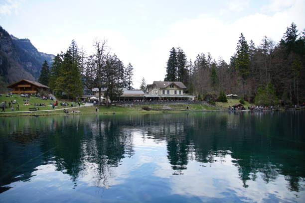 istock Small lake inside the forest on a sunny day 1145703978