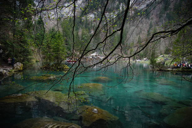 istock Small lake inside the forest on a sunny day 1145703999