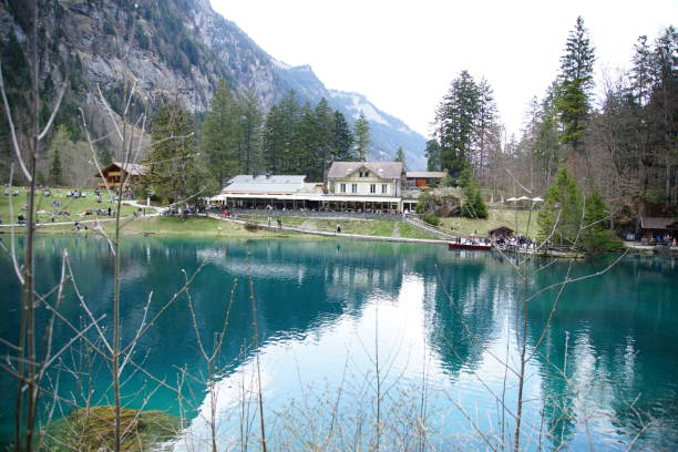 istock Small lake inside the forest on a sunny day 1145704040