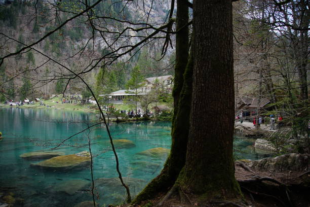 istock Small lake inside the forest on a sunny day 1145704084