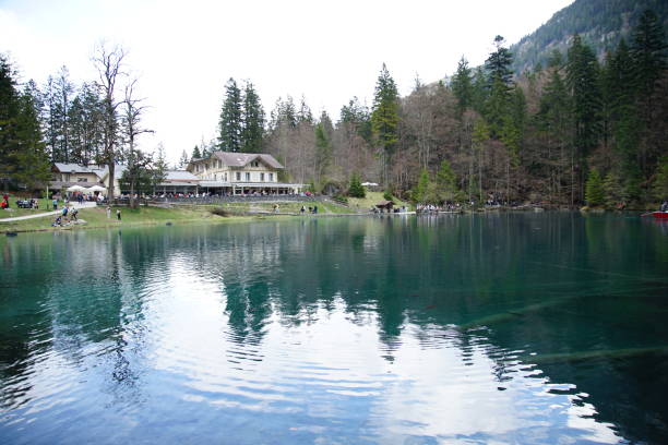 istock Small lake inside the forest on a sunny day 1145704711