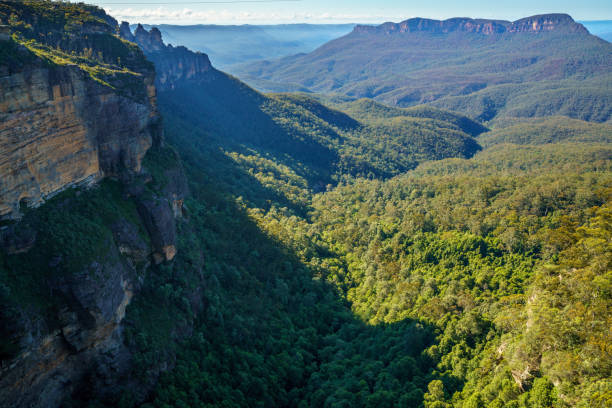 istock lookout, blue mountains national park, australia 4 1145705044