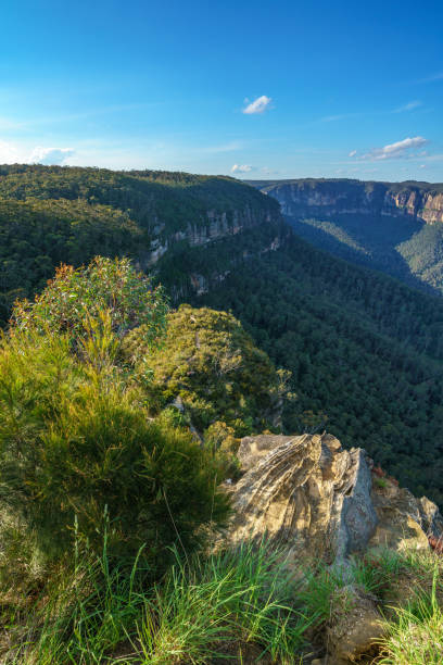 istock valley view lookout, blue mountains national park, australia 10 1145705165
