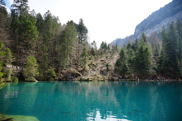 istock Trip on the small lake in spring 1145706205