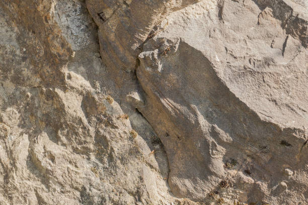 istock Surface of the marble with grey tint, Stone texture and background. 1145707430