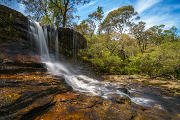 A picturesque waterfall tumbles gently over weathered sandstone, surrounded by dense green foliage in a vibrant forest setting. The scene captures the tranquility and natural beauty of a hidden woodland stream