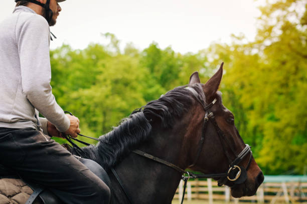 istock Young man is enjoying horseback riding in nature 1145708969