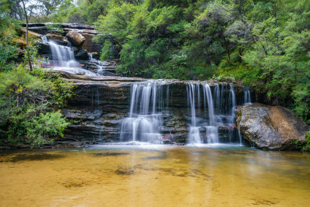 istock waterfall on undercliff walk, blue mountains national park, australia 10 1145710136