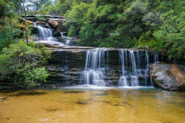 istock waterfall on undercliff walk, blue mountains national park, australia 4 1145710319