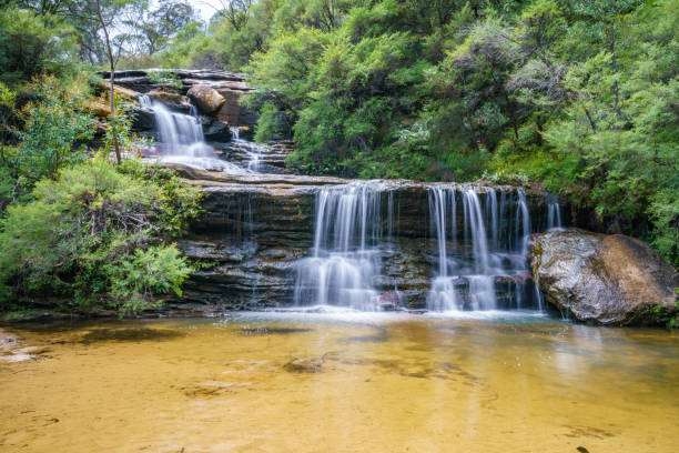 istock waterfall on undercliff walk, blue mountains national park, australia 7 1145710366