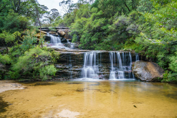 istock waterfall on undercliff walk, blue mountains national park, australia 15 1145710951